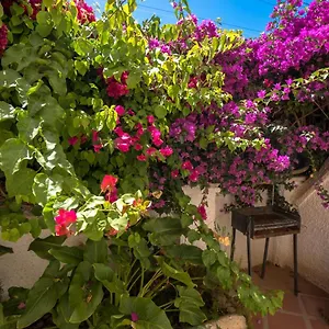 https://pinos-2.1costadelsol.com